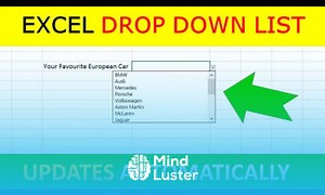 Mind Luster - Learn Excel How to create a drop down list Part 1