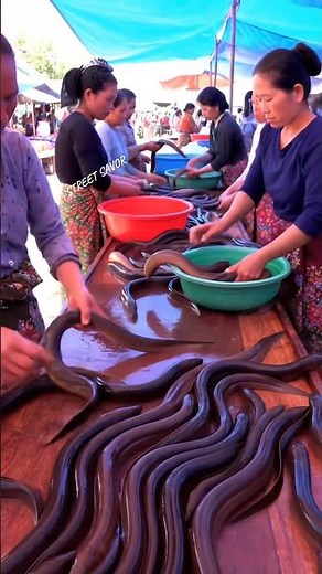Inside Southeast Asia’s Lively Eel Market! 🐍🌊