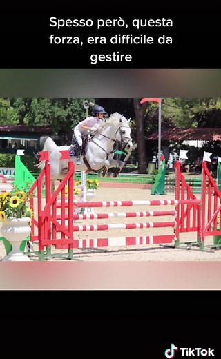 La storia di CONVOIS ?? #convois #showjumping #foryou