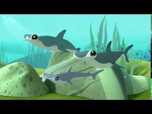 Octonauts | Season 3 | The Hammerhead Sharks | Full Episode