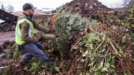 From flocked trees to gift wrap, here's how to keep your holiday trimmings out of the trash