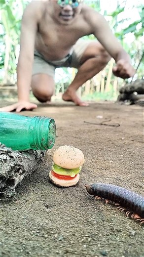 So cute! The beauty of millipedes when they hear music and start swaying #shorts