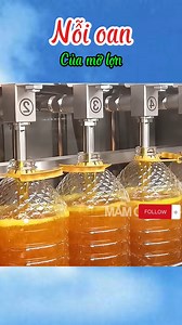 1.3M views · 11K reactions | Nỗi oan của mỡ lợn | World Channel Television | Facebook