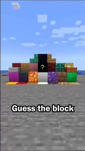 Minecraft Guess The block ◼️😱 #minecraft #gaming