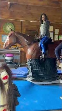 Horse Riding Simulator First Time - Walk.