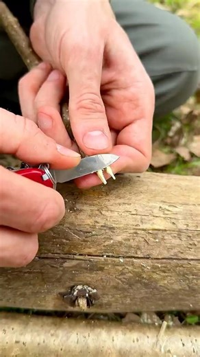 ♻️ Stop Using Plastic. Try This Instead! 🌿 #bushcraft #outdoors #camping #survival