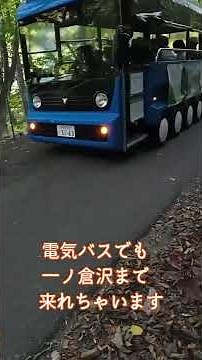 谷川岳一ノ倉沢までハイキング #一ノ倉沢 #谷川岳 #ハイキング