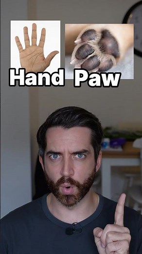 Cup vs Mug in English