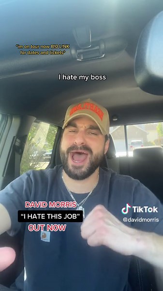 I Hate This Job - David Morris