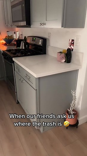 Clever Kitchen Organization: Hiding Garbage Cans in Small Spaces