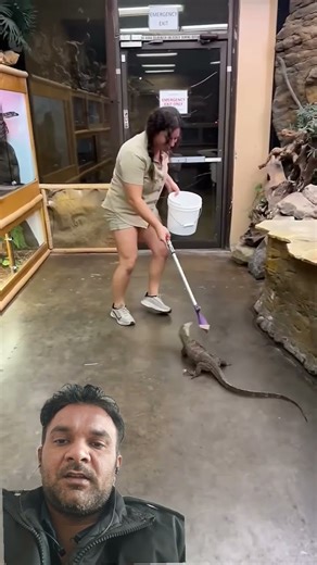 This Sweet Monitor was very Energetic