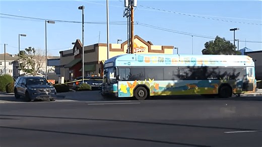 Police charge city bus driver after deadly stabbing