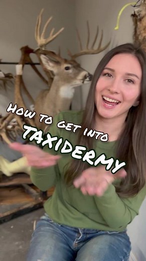How to get into taxidermy 🦌 I get this question a lot, so I made a full length video on the subject! #taxidermy #taxidermist #howtogetintotaxidermy #wildlife #wildlifeart #animalart #animals