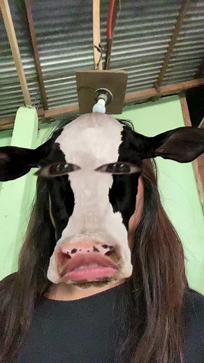 cowcow #fyp #cowboy
