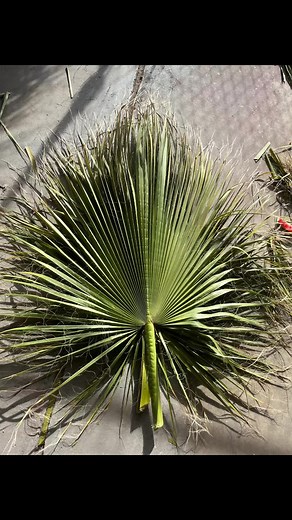 DIY Baptism Decor Preparation Ideas