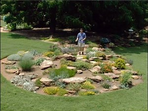 Plants in the Rock Garden (Part 2)