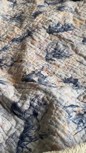 Bobby Sox is the sweet kitty cat ever #cat #catsoftiktok #guardian #dumpsterfind #dumpsterdiving