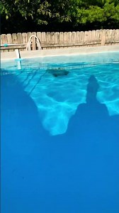 Getting Ready to Winterize the Intex Ultraframe Pool