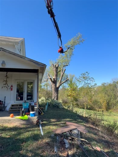Keystone Tree Techs Inc. on Reels