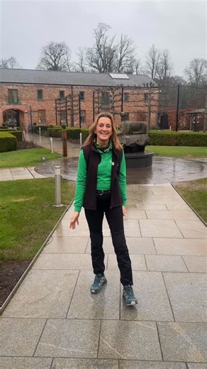 All systems go | Born 2 Run