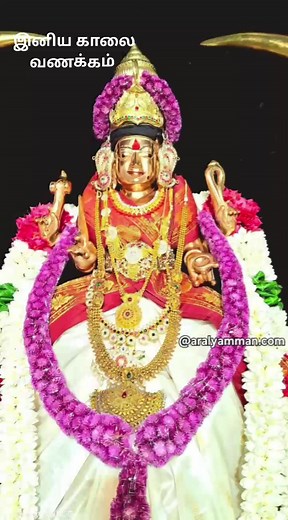 Matha Mathai on Reels