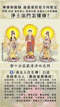 淨土法門怎樣修？ 01韋提希夫人 善女人往生傳 #淨土主修 #淨土助修 #南無阿彌陀佛