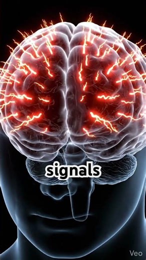 Why Paper Cuts Hurt More Than Knife Wounds (Science Explained)