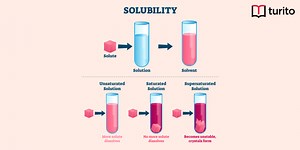 Solubility Definition, Rules, Tables, and FAQs - Turito