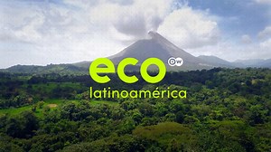 Eco Latinoamérica - Los bosques tienen quien los cuide