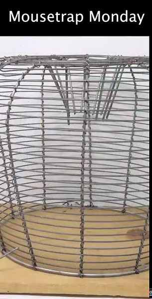 Catching A Rat With A Wire Dome Spike Wire Trap.