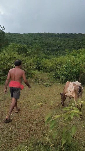 603K views · 10K reactions | Binod Biswal on Reels | Facebook