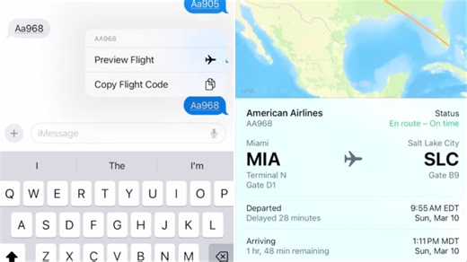 A Clever Hack to Keep Track of an Airline Flight