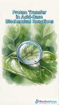 Proton Transfer Mechanisms in Acid-Base Biochemical Reactions