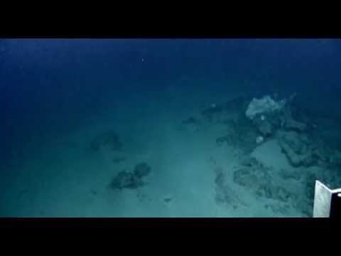 Millions in Gold Found In Ocean Wreck