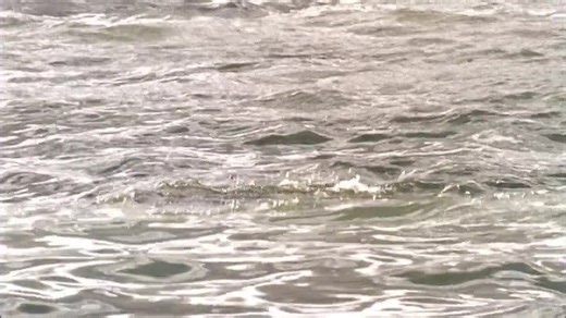 Spring Break Shark Attack dvdrip 1280x720p 2000kbps