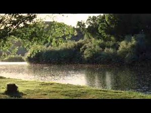 On Eagle's Wings/Wind Beneath My Wings - Steve Hall, Piano