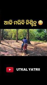 ଆଜି ମରିବି ନିଶ୍ଚିନ୍ତ 😟 #utkalyatrii