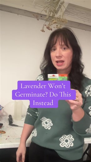 Lavender giving you a hard time? 🌱 This foolproof winter sowing method makes germination easy—even for tricky lavender. Watch how I do it step by step and grow lavender with confidence! 💜 #Lavender #WinterSowing #SeedStarting #GardeningTips #GrowLavender
