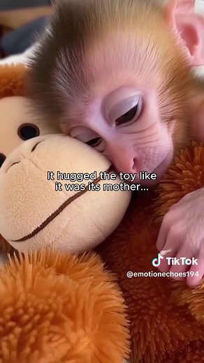 A Life-Changing Moment with a Trembling Animal