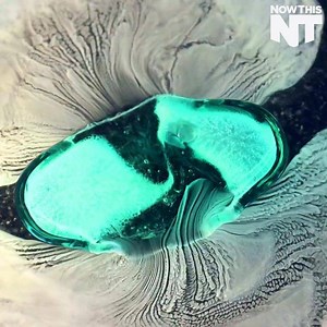 1.2M views · 10K reactions | Watching pill capsules dissolve is actually really satisfying (footage via Macro Room) | NowThis | Facebook