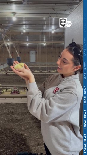 It looks harmless, but this chicken is part of a 20-year lawsuit that farmers and officials say could change Oklahoma’s agriculture and economy. Visit ktul.com for the full story or tune in tonight!
