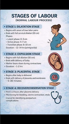 Stages of labour || normal labour process .... #maternityleaves #dangerousladders #labourcodes easy