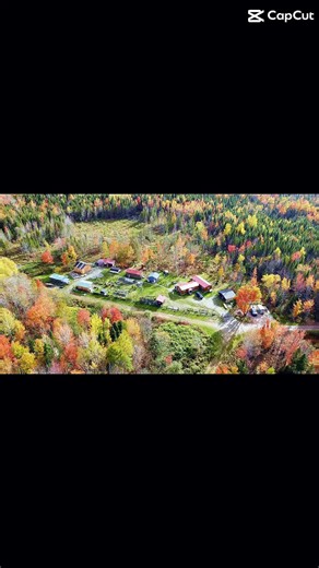 Hanbleceyaranch.com #hanbleceyaranch #cabinlife #offgrid #amishcabin #offgridliving