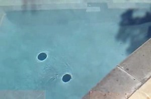 Simple physics experiment using a plate and water explains vortexes.