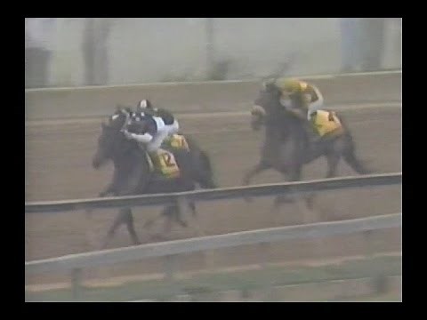 1992 Preakness Stakes : ABC Broadcast