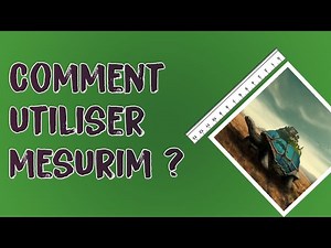 Tutoriel pour les mesures de distances avec Mesurim