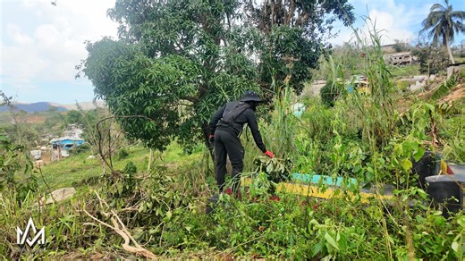 17 reactions · 3 comments | VISITING MY FATHER AFTER HURRICANE MELISSA | DEVASTATING SCENES IN DEVON MANCHESTER | Morris Time cooking | Facebook