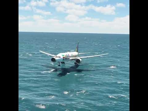 it is impossible for a plane to land in water but survive eps 289