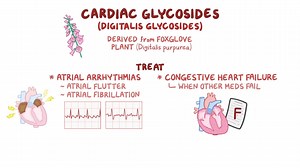 Video: Cardiac Glycosides - Video Explanation! | Osmosis | Osmosis