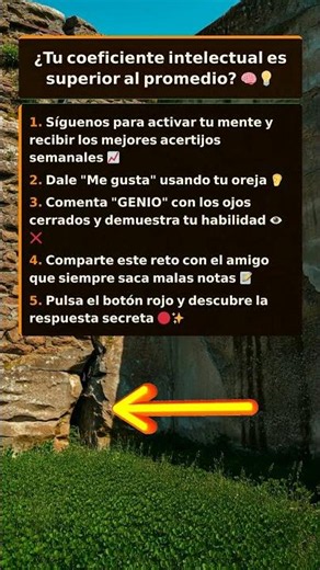 ¿Tu IQ es superior al promedio? Pruébalo aquí 📊